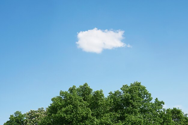 Blue sky with single cloud