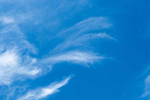 白い雲と青い空