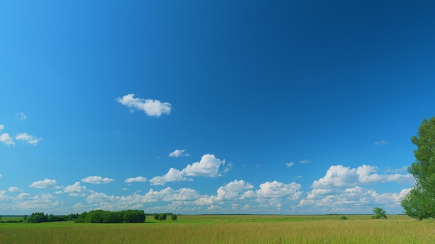 Blue sky with white clouds green grass field agriculture farm concept calm and peaceful