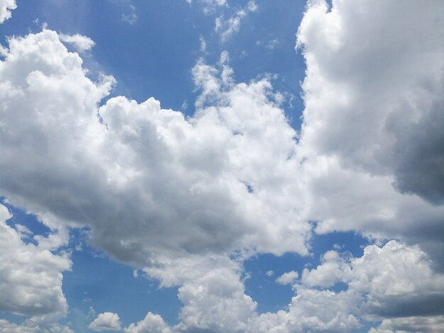 Голубое небо с белыми облаками.