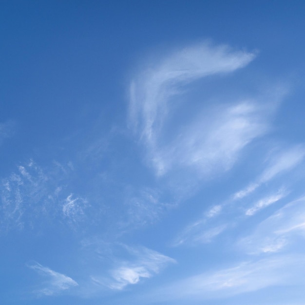 うっすらとした雲と空に鳥がいる青い空。