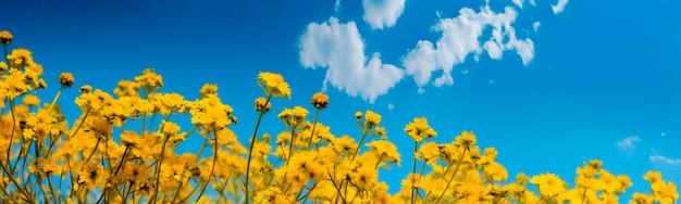 Blue sky and yellow flowers Generative AI