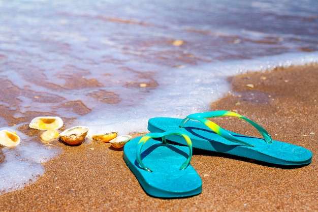 Blue Slippers stand on the sand on the seashore