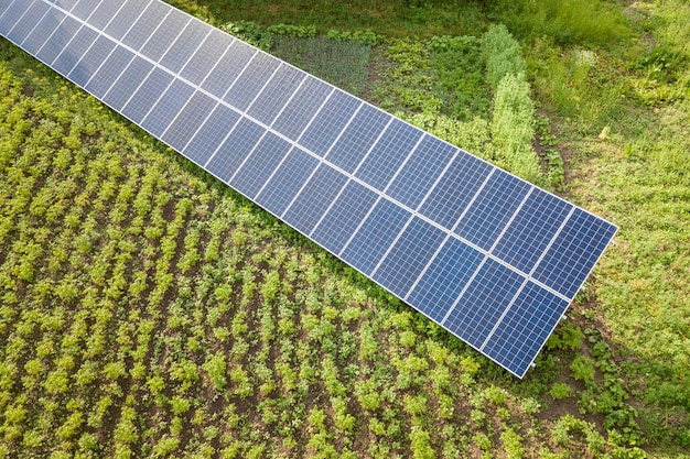 Blue solar panels for clean energy on green grass.