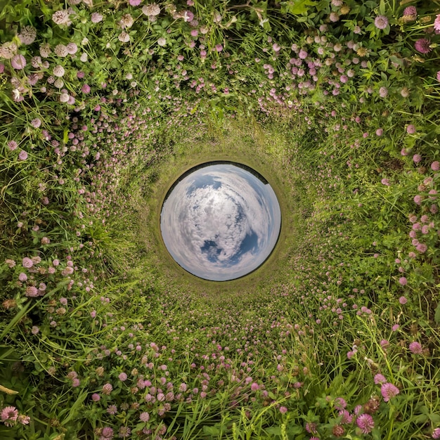 Blue sphere little planet inside green grass round frame background