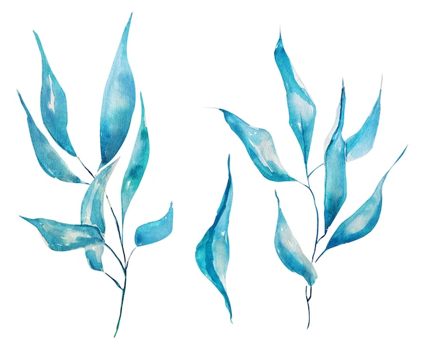 Blue sprig mistletoe watercolor elements set