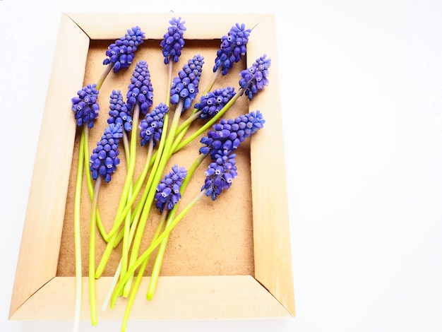Blue spring flowers on a white background Muscari armeniacum Bright postcard congratulations Copy space still life flat lay Armenian grape hyacinth Photo frame made of cardboard and wood