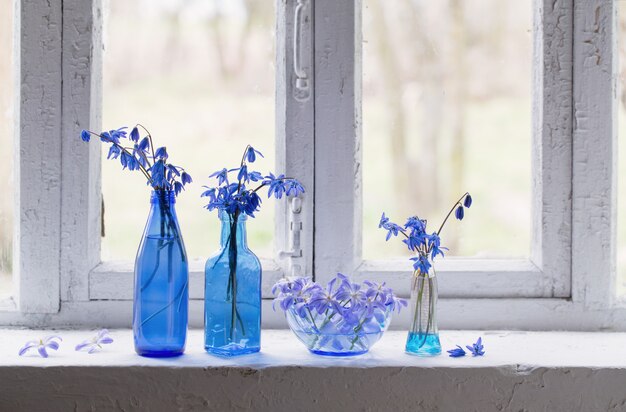 Blue spring flowers on windowsill