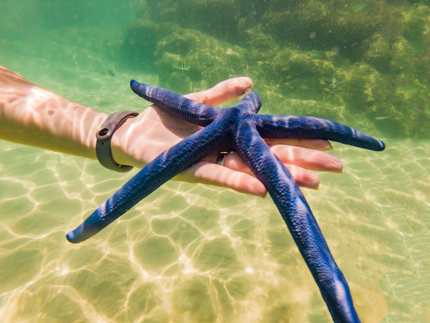 Foto stelle marine blu nelle mani sott'acqua