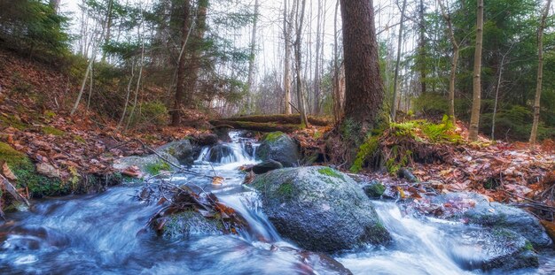 Blue stream in the autumn deep forest