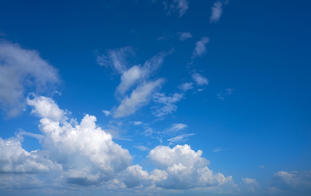 青い夏空白い積雲の雲