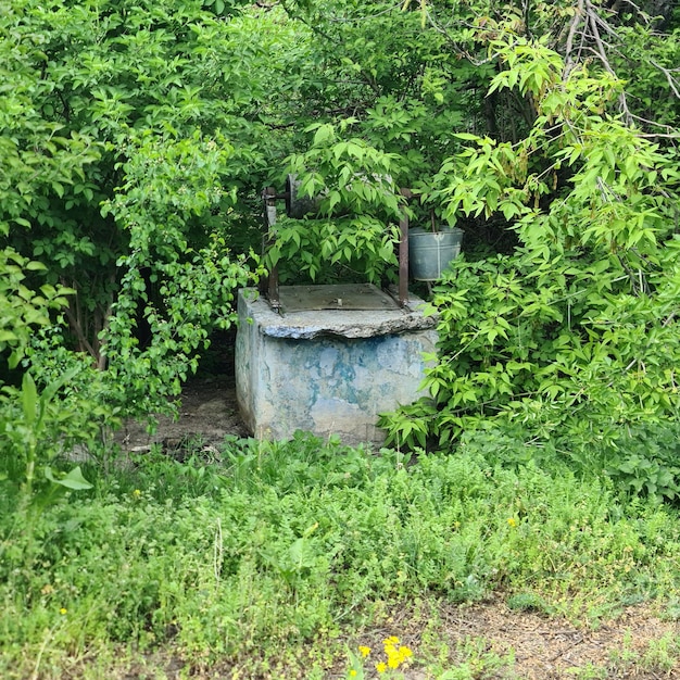 A blue tank sits in the middle of a forest.