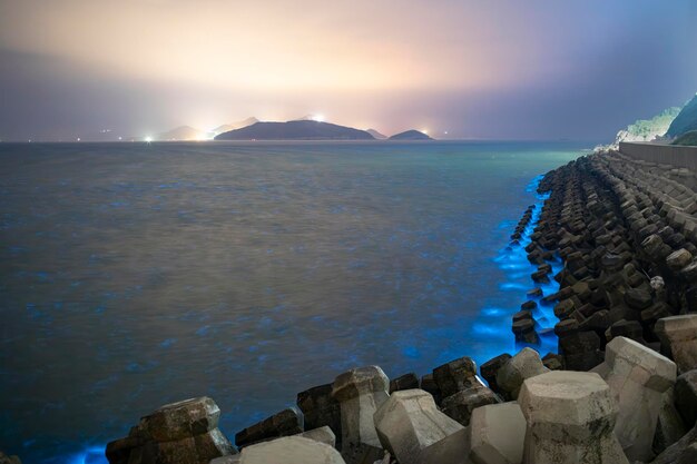 Photo blue tears noctiluca scintillans photographed in matsu taiwan