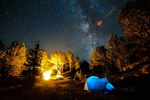 Blue tent amidst trees in forest against star field at night