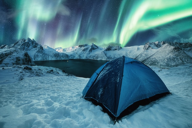 Blue tent camping on snowy hill with Aurora Borealis dancing on mountain range in Senja Island