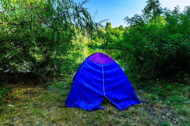 Blue tent in green forest on summer