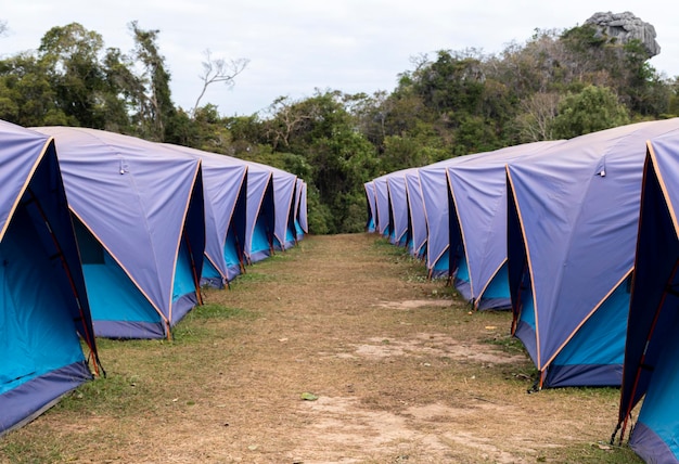 Blue tents lined up at Doi samoe dao with in Sri Nan national park Thailand