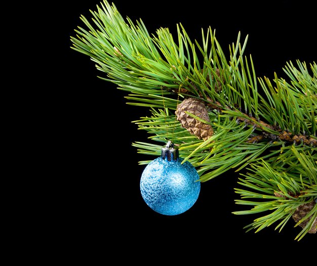 Blue toy,coniferous branch on dark background with toy cristmas