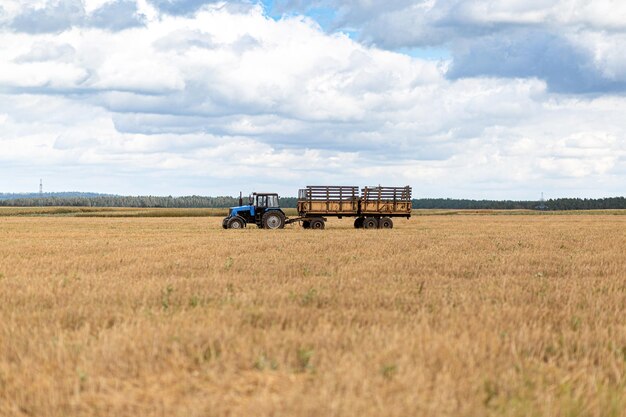 Blue tractor rides in the field