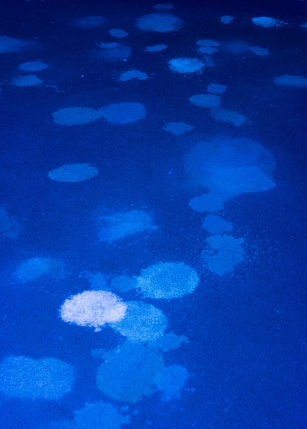 Blue ultra violet light illuminates many stains from pet urine on a carpet in home