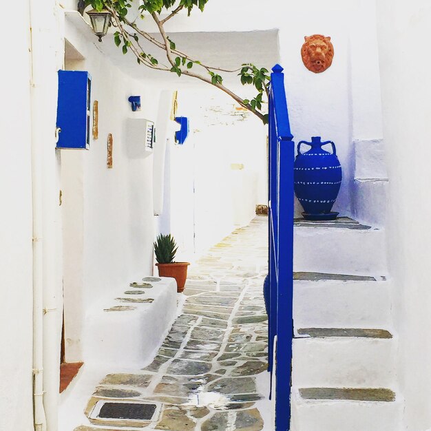 Photo blue urn and railings of white traditional building