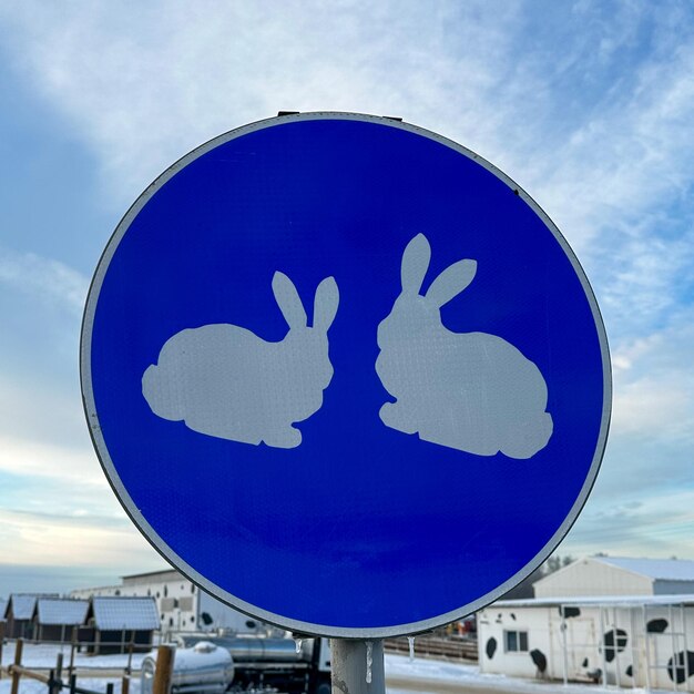 Blue warning sign with rabbit on farm in winter Traffic sign Snowy wooded hill in the background