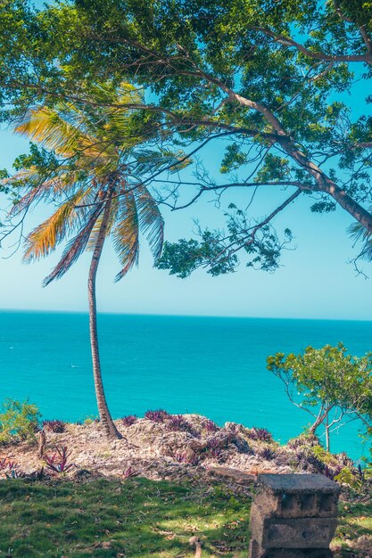 Foto acqua blu mare dei caraibi