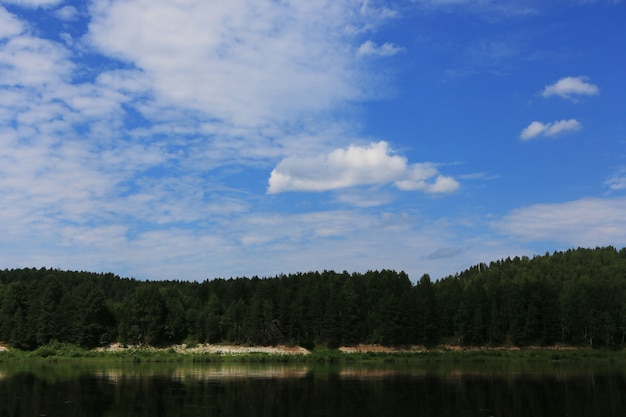 Blue water in a forest lake with pine trees on a summer day