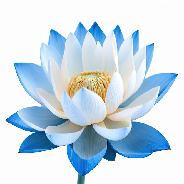 Photo blue water lilly lotus on white background