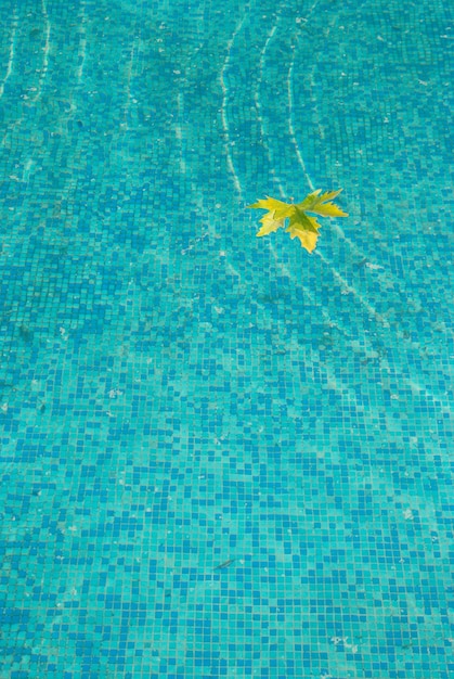 Blue water surface with yellow leaf