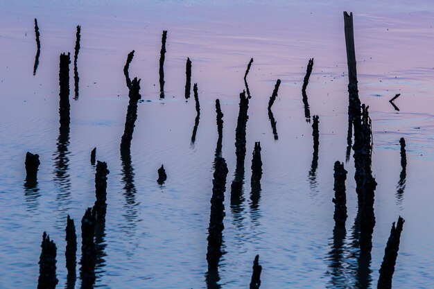 Foto acqua blu attraverso vecchi pali di legno