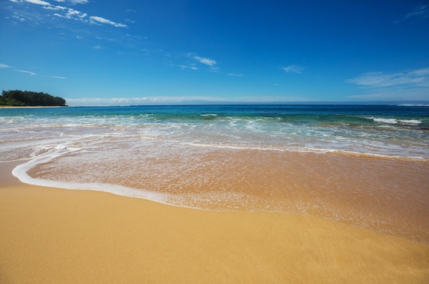 Blue wave on the beach. Blur background and sunlight spots. Peaceful natural background.