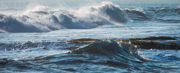 熱帯の海の海岸線に泡が当たる青い波