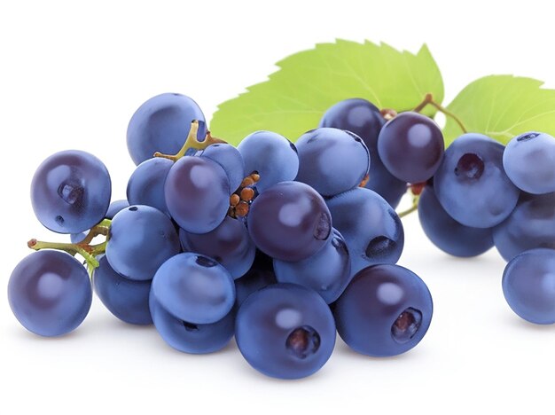 Гроздь синего мокрого винограда на белом фоне