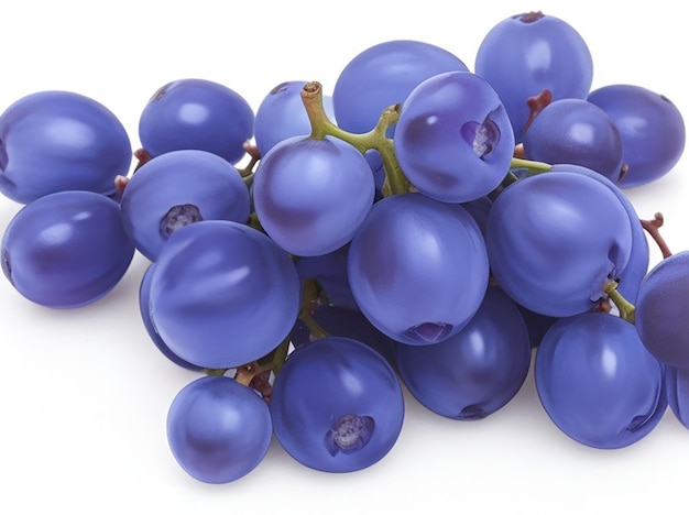 Blue wet grapes bunch isolated on white background