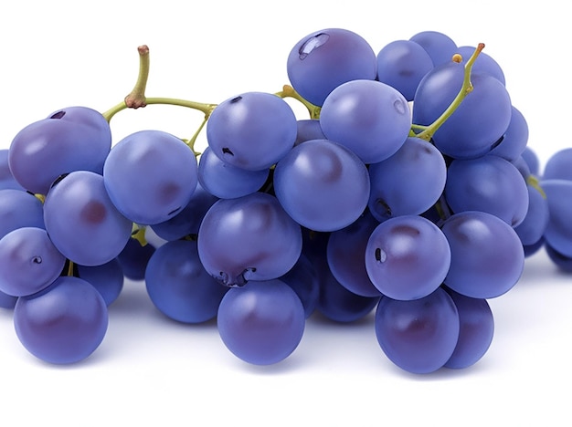 Blue wet grapes bunch isolated on white background