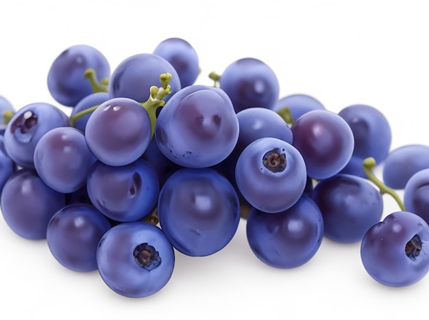 Blue wet grapes bunch isolated on white background