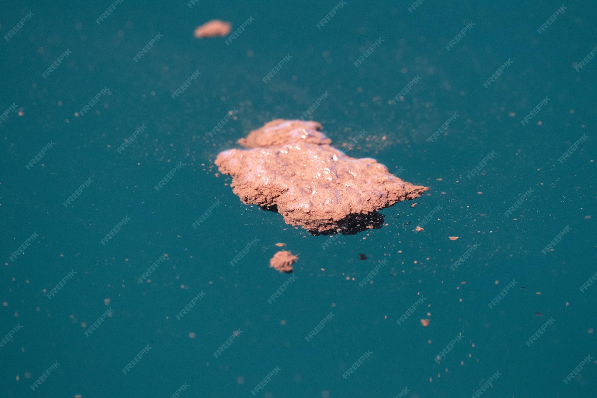 Premium Photo | Blue whale red feces krill excrement
