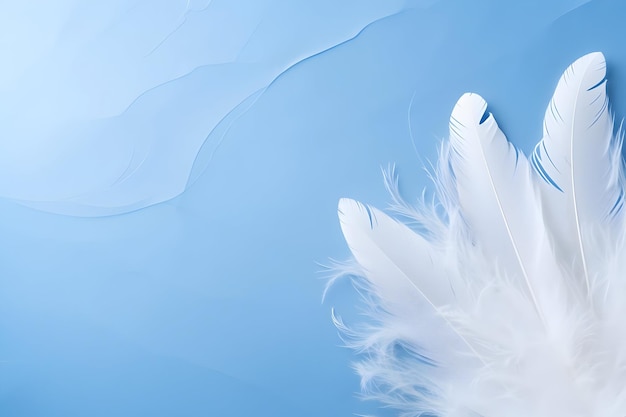 Photo blue and white background with a white background and a blue feather