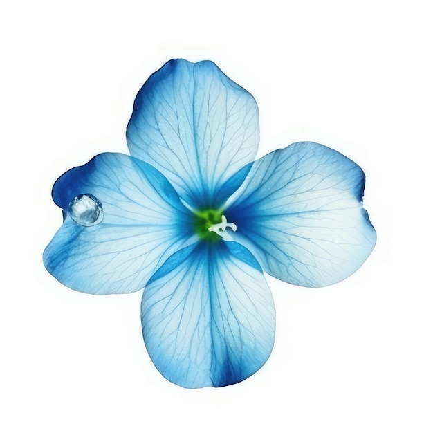 A blue and white flower with a green center.