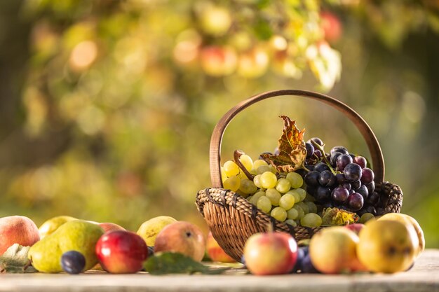 Blue and white grapes in a wooden basket on a wooden table along with other fruits