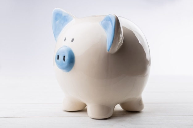 Blue and white piggy bank