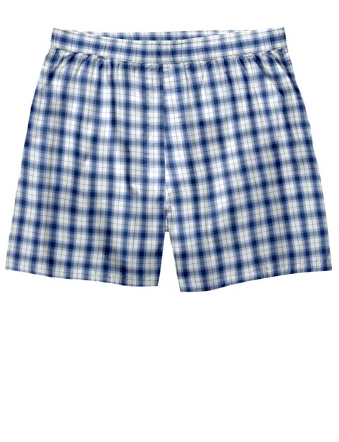 a blue and white plaid shorts with a white background