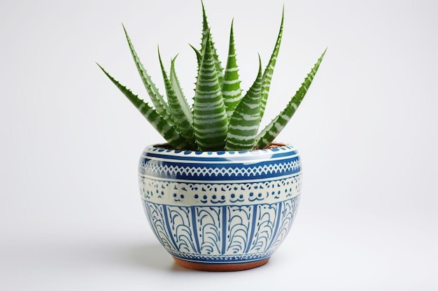 a blue and white pot has a plant in it.