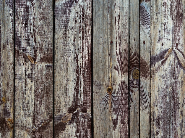 Blue wooden background.