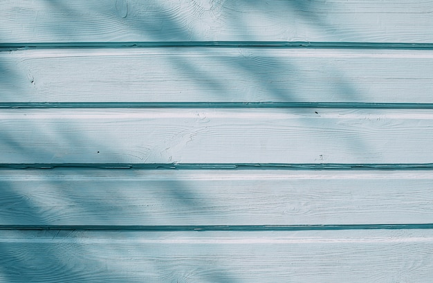 Blue wooden wall background with shadows from tree branches.