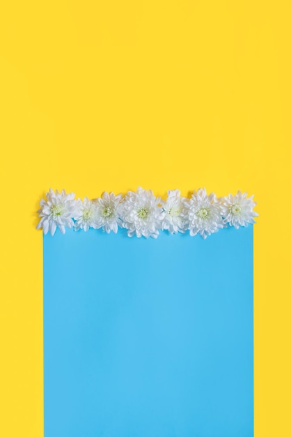 Blue and yellow background with white flowers on it. Stand with Ukraine