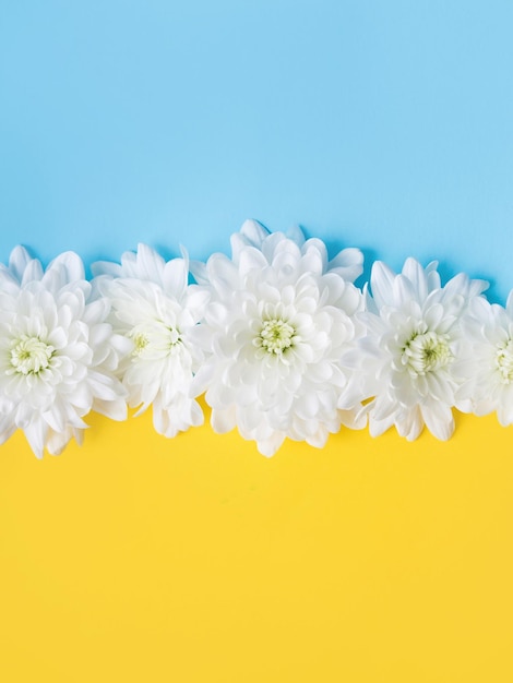 青と黄色の背景に白い花。ウクライナと共に立つ