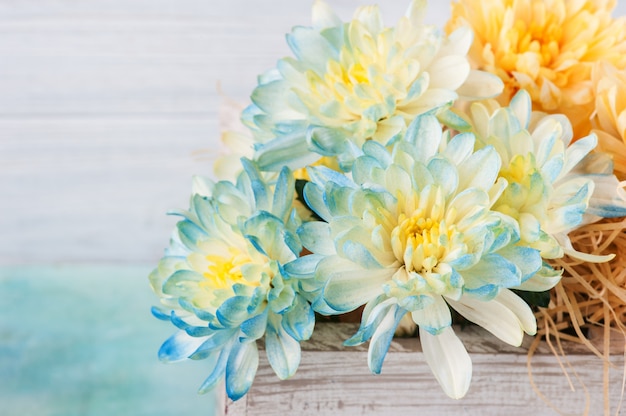 Blue and yellow chrysanthemum in white wooden box