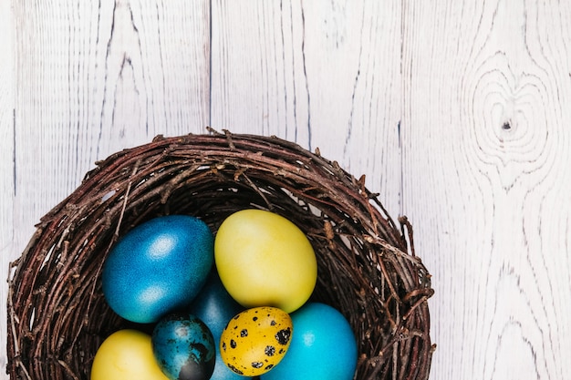 Blue and yellow easter eggs in a bird's nest on a white wooden table copy space.